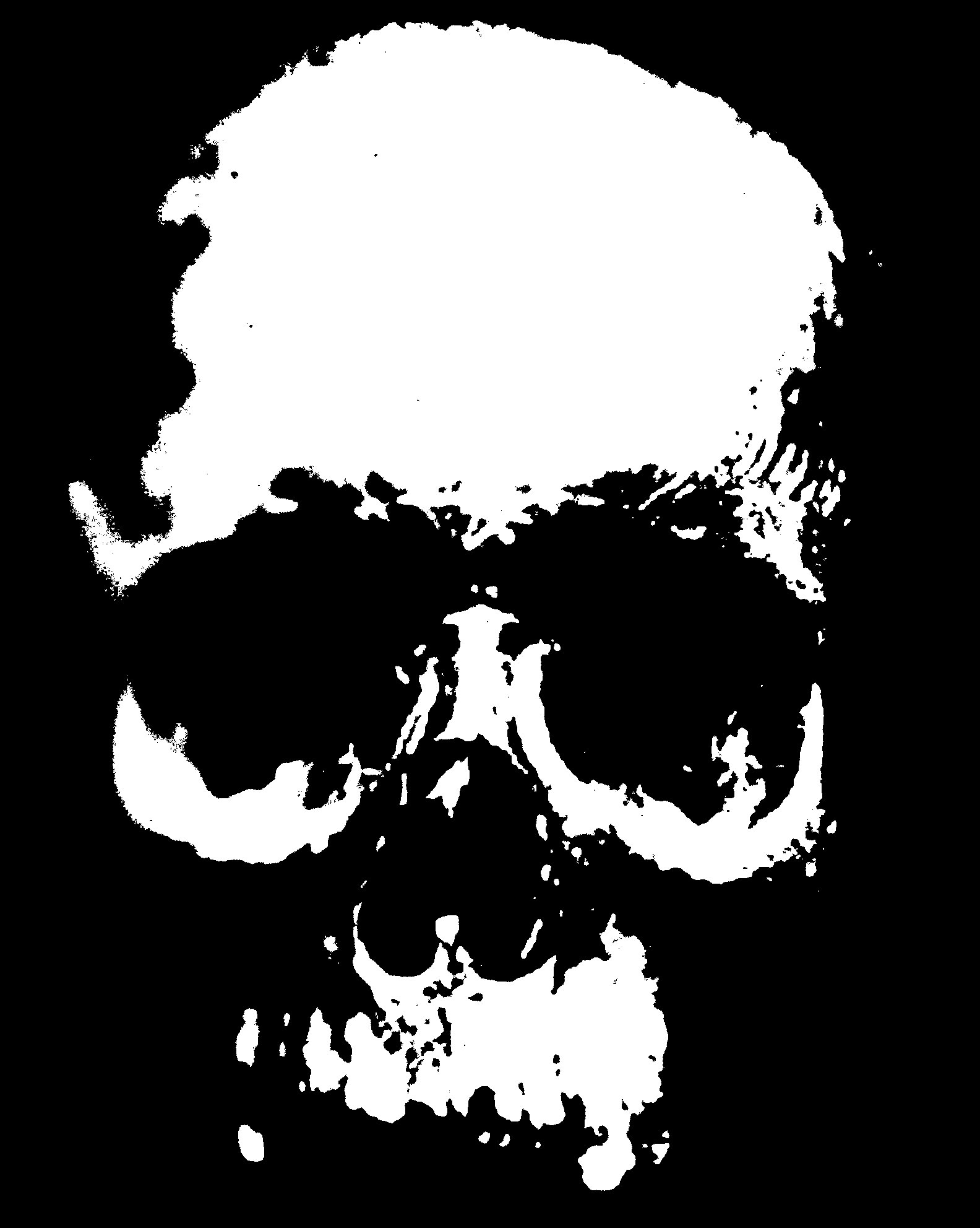 https://raquelburns.files.wordpress.com/2012/11/skull1.jpg